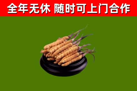 平乡县烟酒回收冬虫夏草.jpg